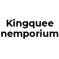 KINGQUEENEMPORIUM Promo Codes  KINGQUEENEMPORIUM Coupon Codes