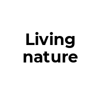 LIVINGNATURE Promo Codes  LIVINGNATURE Coupon Codes