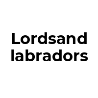 LORDSANDLABRADORS Promo Codes  LORDSANDLABRADORS Coupon Codes