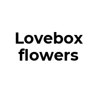 LOVEBOXFLOWERS Promo Codes  LOVEBOXFLOWERS Coupon Codes