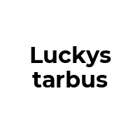 LUCKYSTARBUS Promo Codes  LUCKYSTARBUS Coupon Codes