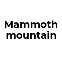MAMMOTHMOUNTAIN Promo Codes  MAMMOTHMOUNTAIN Coupon Codes