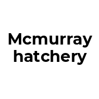 MCMURRAYHATCHERY Promo Codes  MCMURRAYHATCHERY Coupon Codes