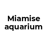 MIAMISEAQUARIUM Promo Codes  MIAMISEAQUARIUM Coupon Codes