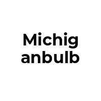 MICHIGANBULB Promo Codes  MICHIGANBULB Coupon Codes