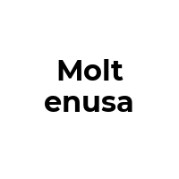 MOLTENUSA Promo Codes  MOLTENUSA Coupon Codes