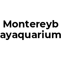 MONTEREYBAYAQUARIUM Promo Codes  MONTEREYBAYAQUARIUM Coupon Codes