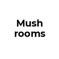 MUSHROOMS Promo Codes  MUSHROOMS Coupon Codes