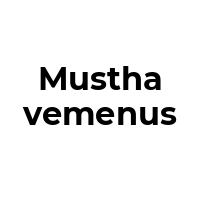 MUSTHAVEMENUS Promo Codes  MUSTHAVEMENUS Coupon Codes