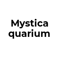 MYSTICAQUARIUM Promo Codes  MYSTICAQUARIUM Coupon Codes