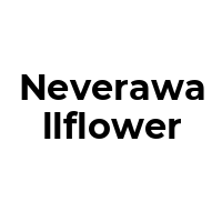 NEVERAWALLFLOWER Promo Codes  NEVERAWALLFLOWER Coupon Codes
