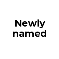 NEWLYNAMED Promo Codes  NEWLYNAMED Coupon Codes
