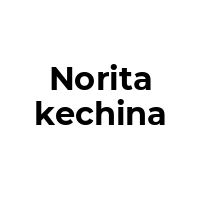 NORITAKECHINA Promo Codes  NORITAKECHINA Coupon Codes