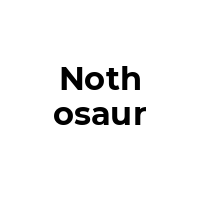 NOTHOSAUR Promo Codes  NOTHOSAUR Coupon Codes