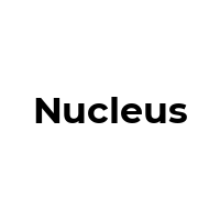 NUCLEUS Promo Codes  NUCLEUS Coupon Codes