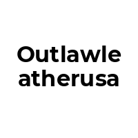 OUTLAWLEATHERUSA Promo Codes  OUTLAWLEATHERUSA Coupon Codes