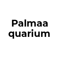 PALMAAQUARIUM Promo Codes  PALMAAQUARIUM Coupon Codes