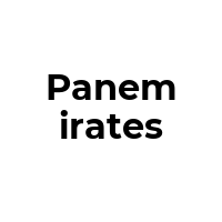 PANEMIRATES Promo Codes  PANEMIRATES Coupon Codes