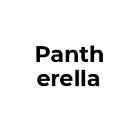PANTHERELLA Promo Codes  PANTHERELLA Coupon Codes