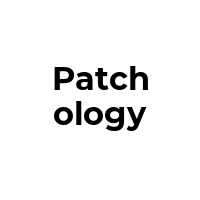 PATCHOLOGY Promo Codes  PATCHOLOGY Coupon Codes