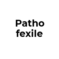 PATHOFEXILE Promo Codes  PATHOFEXILE Coupon Codes