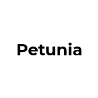 PETUNIA Promo Codes  PETUNIA Coupon Codes
