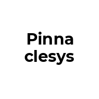 PINNACLESYS Promo Codes  PINNACLESYS Coupon Codes