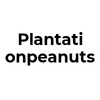PLANTATIONPEANUTS Promo Codes  PLANTATIONPEANUTS Coupon Codes