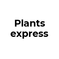 PLANTSEXPRESS Promo Codes  PLANTSEXPRESS Coupon Codes