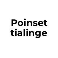 POINSETTIALINGE Promo Codes  POINSETTIALINGE Coupon Codes