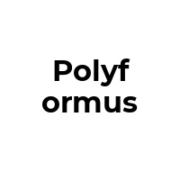 POLYFORMUS Promo Codes  POLYFORMUS Coupon Codes