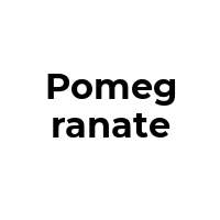 POMEGRANATE Promo Codes  POMEGRANATE Coupon Codes