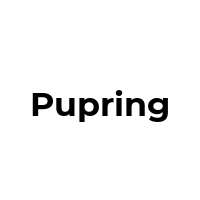PUPRING Promo Codes  PUPRING Coupon Codes