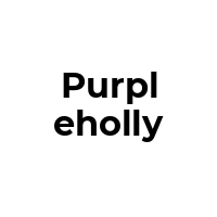 PURPLEHOLLY Promo Codes  PURPLEHOLLY Coupon Codes