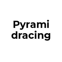 PYRAMIDRACING Promo Codes  PYRAMIDRACING Coupon Codes