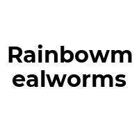 RAINBOWMEALWORMS Promo Codes  RAINBOWMEALWORMS Coupon Codes