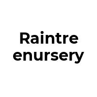 RAINTREENURSERY Promo Codes  RAINTREENURSERY Coupon Codes