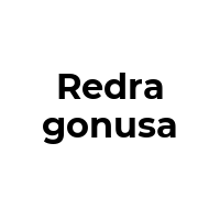 REDRAGONUSA Promo Codes  REDRAGONUSA Coupon Codes