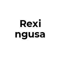 REXINGUSA Promo Codes  REXINGUSA Coupon Codes
