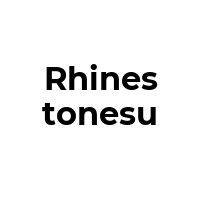 RHINESTONESU Promo Codes  RHINESTONESU Coupon Codes
