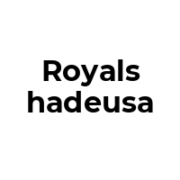 ROYALSHADEUSA Promo Codes  ROYALSHADEUSA Coupon Codes