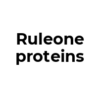 RULEONEPROTEINS Promo Codes  RULEONEPROTEINS Coupon Codes
