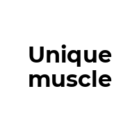 UNIQUEMUSCLE Promo Codes  UNIQUEMUSCLE Coupon Codes