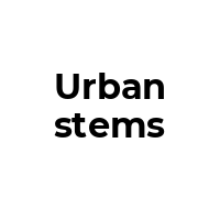 URBANSTEMS Promo Codes  URBANSTEMS Coupon Codes