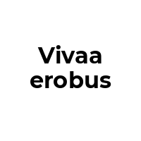 VIVAAEROBUS Promo Codes  VIVAAEROBUS Coupon Codes