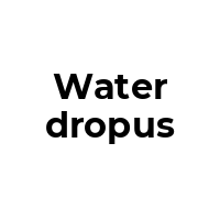 WATERDROPUS Promo Codes  WATERDROPUS Coupon Codes