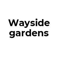 WAYSIDEGARDENS Promo Codes  WAYSIDEGARDENS Coupon Codes