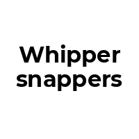 WHIPPERSNAPPERS Promo Codes  WHIPPERSNAPPERS Coupon Codes