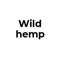WILDHEMP Promo Codes  WILDHEMP Coupon Codes