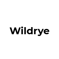 WILDRYE Promo Codes  WILDRYE Coupon Codes